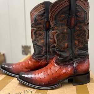 New